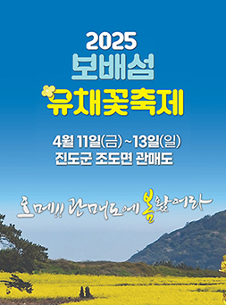 2025 보배섬 유채꽃축제