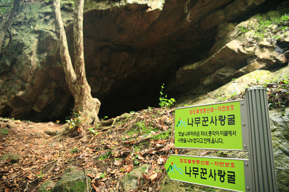 연리목(連理木) (사랑 이야기) 첨부#2