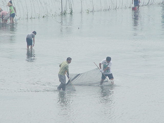 청용안 개매기 체험장 첨부#5