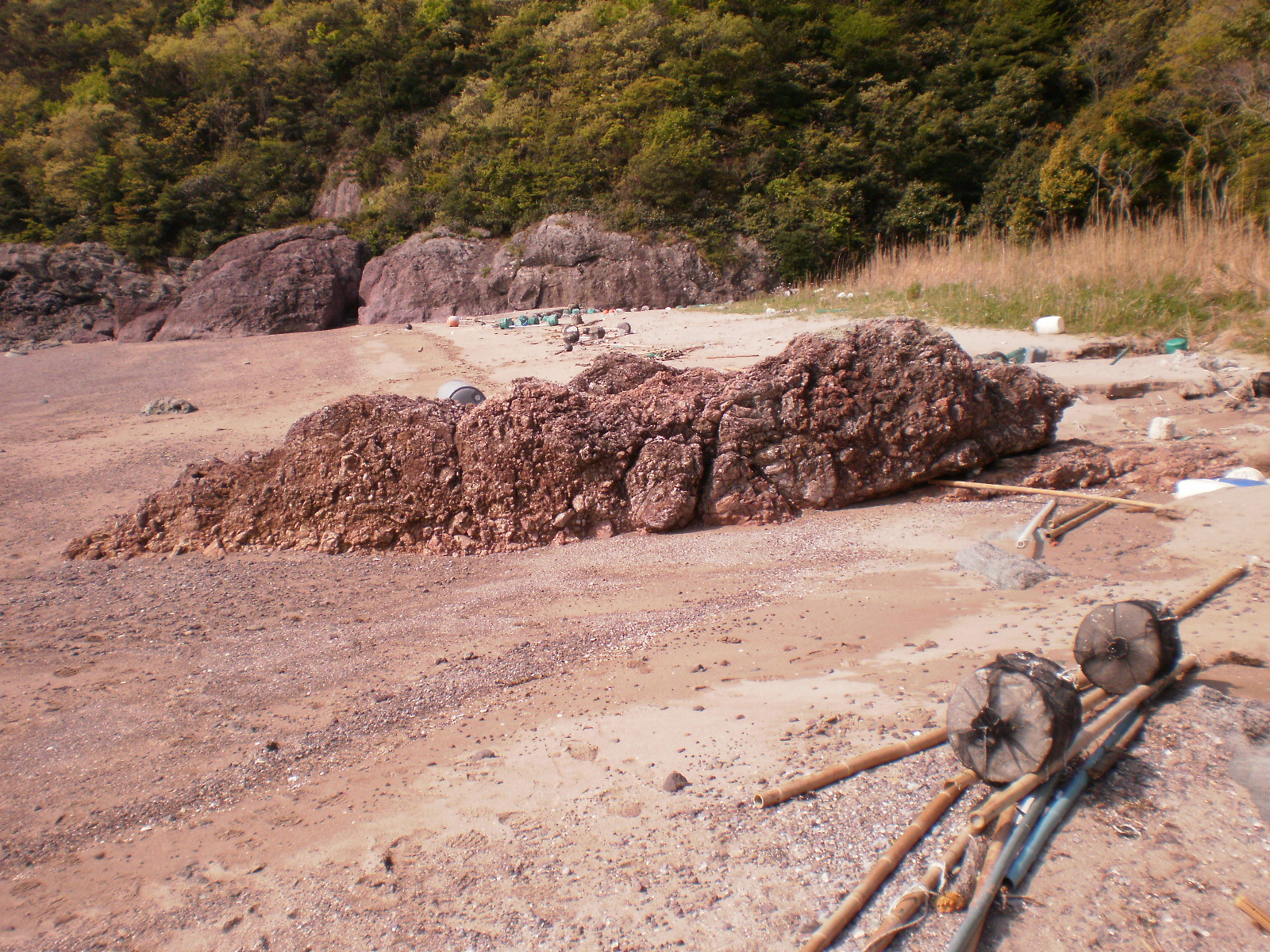 바다가 쓰레기 처리 주기적으로 처리요망. 첨부#2