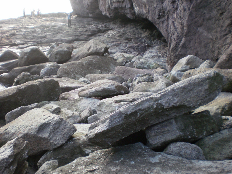 접도 웰빙등산로 태풍 피해현장.(곤파스) 첨부#4