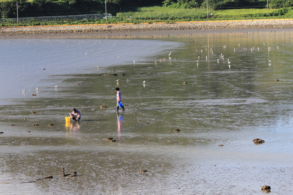 자연과 사람들 첨부#2