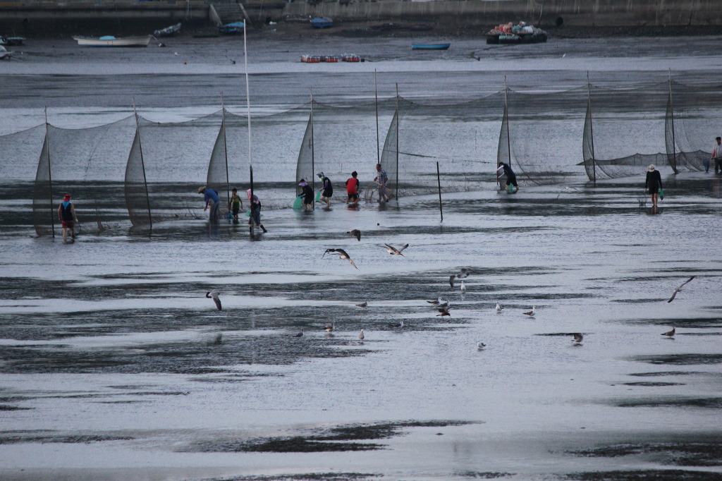 자연과 사람들 첨부#3