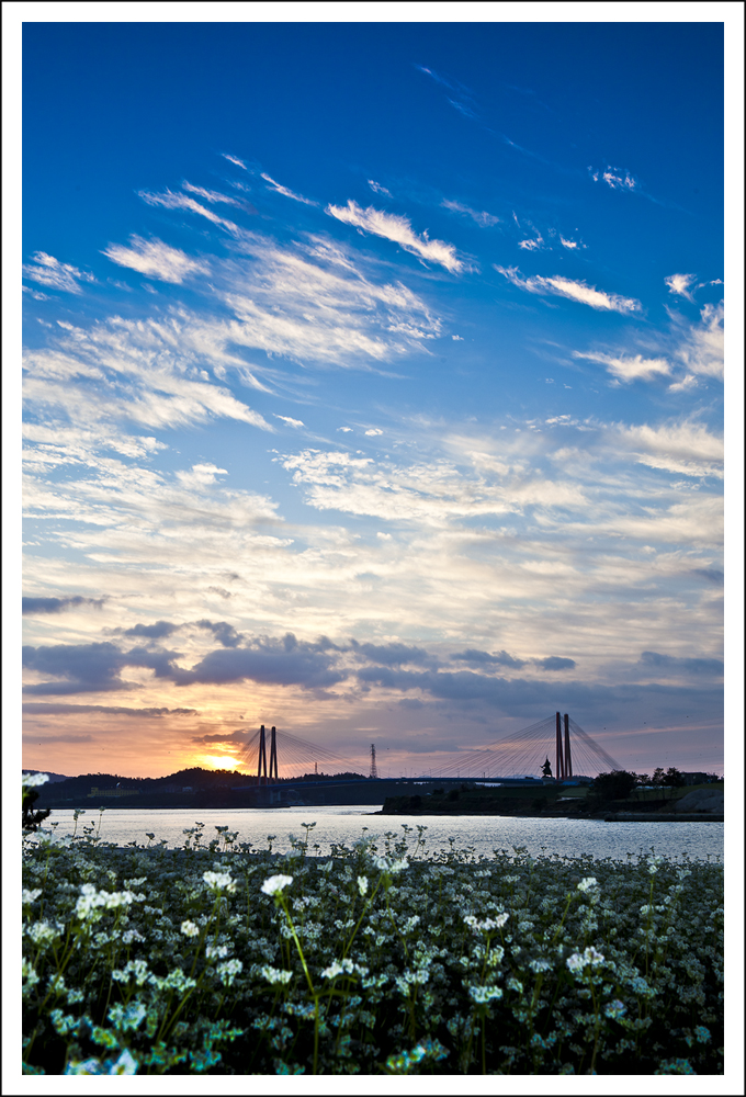 진도대교 첨부#2