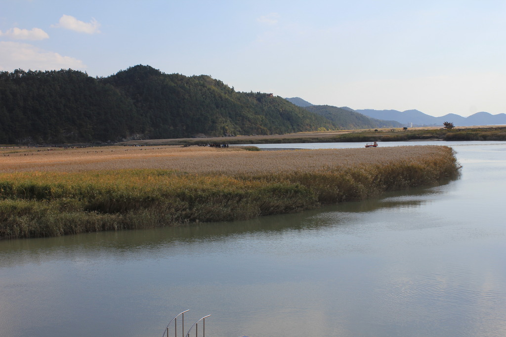 축제가 끝난 순천만에는 첨부#4