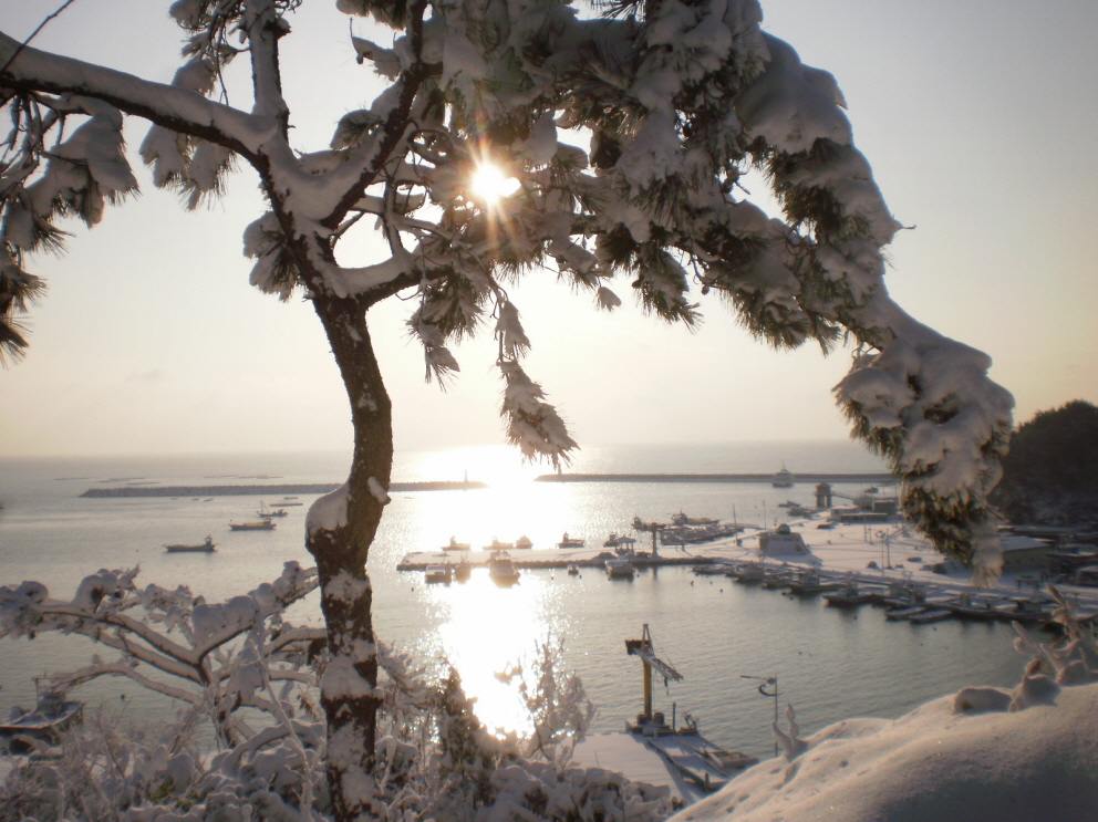 2011년1월1일 접도웰빙등산로 설경. 첨부#5