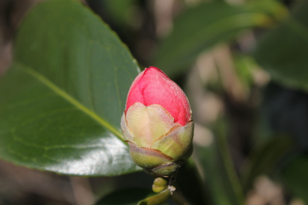 산월 등산로에서 첨부#2
