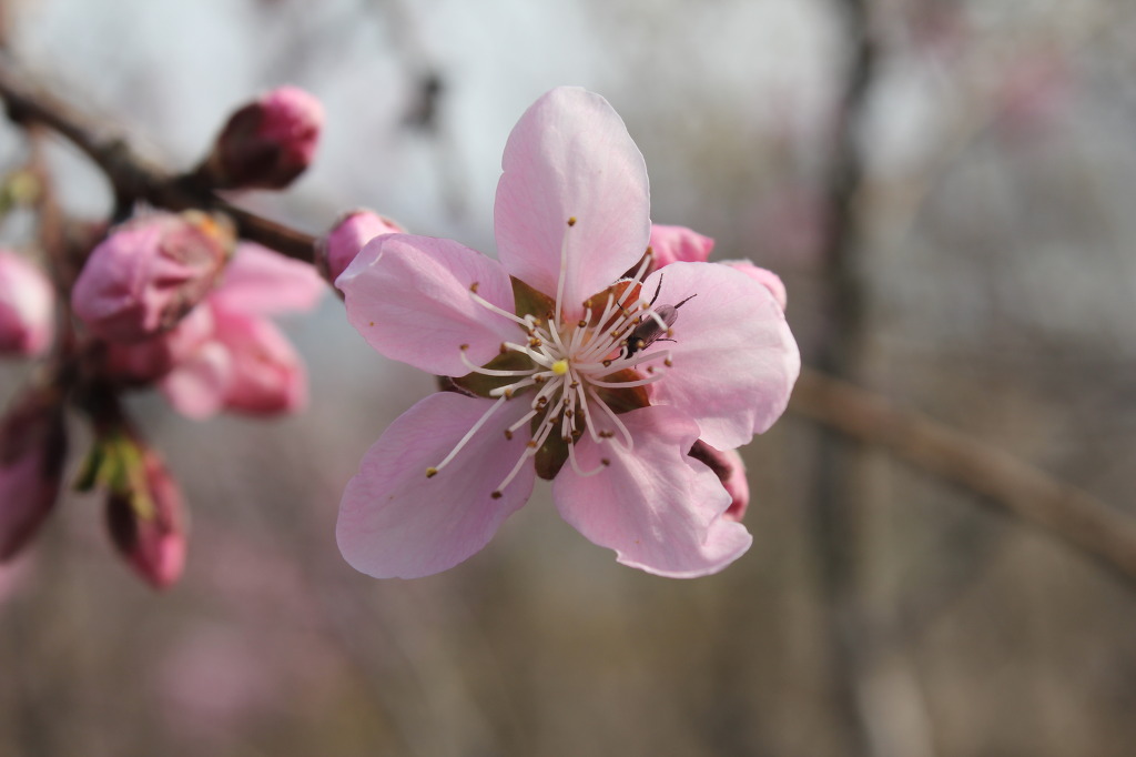 산월 등산로에서 첨부#5