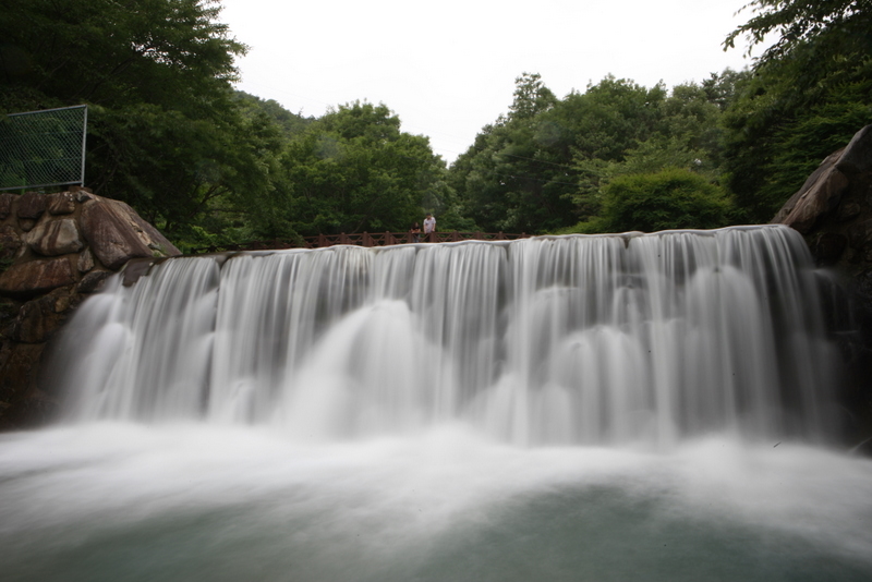 혹시! 제암산자연휴양림에 와 보셨나요? 첨부#3