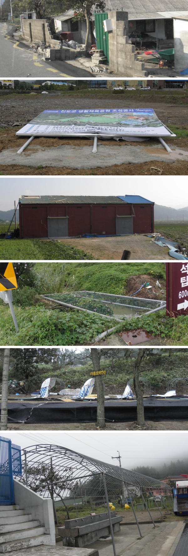 태풍 무이파가 남긴 상처들 첨부#2