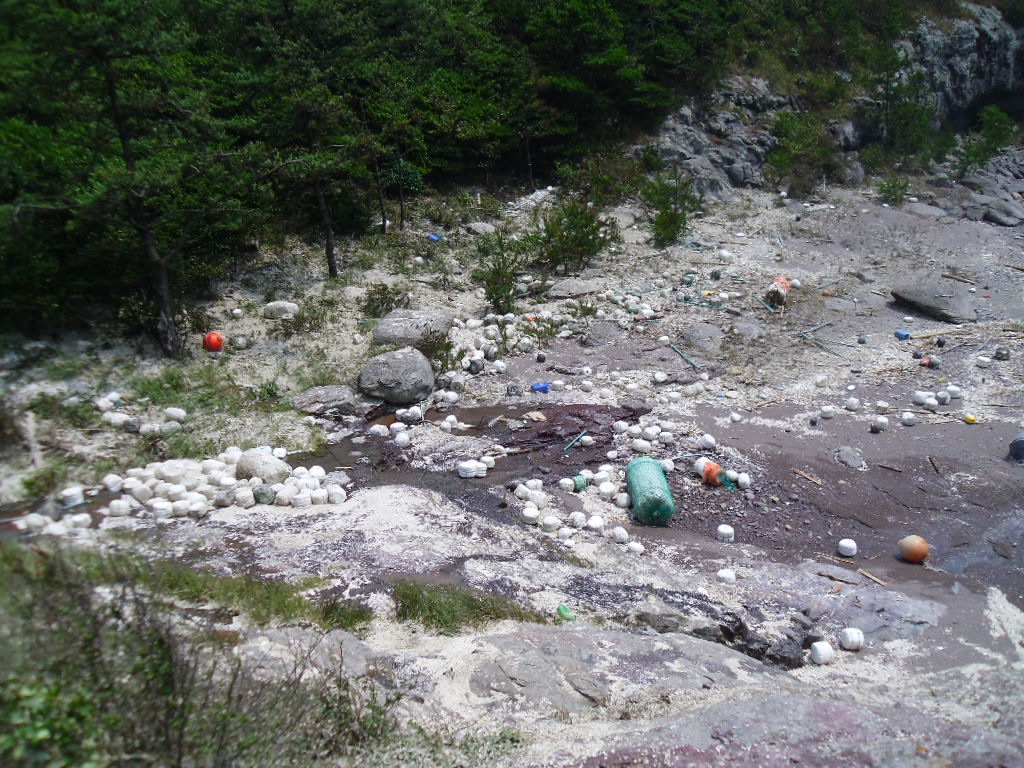 관심을 요망 합니다. 첨부#2