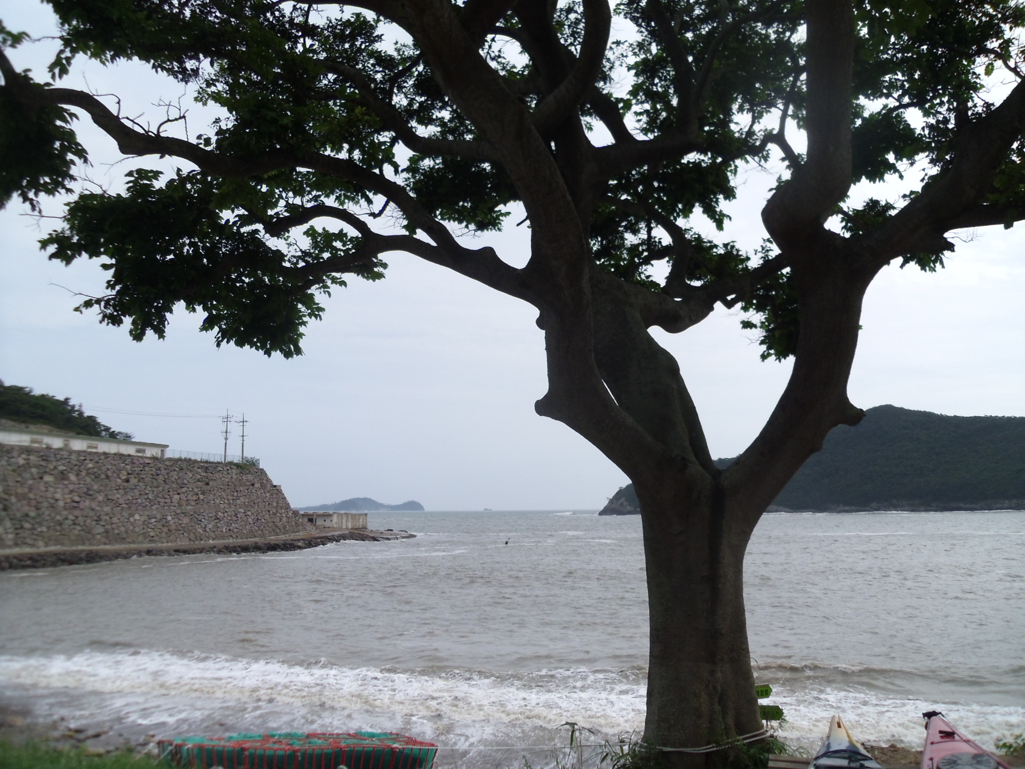 아직도 우리군민들의 의식수준이 이정도 입니다. 첨부#2