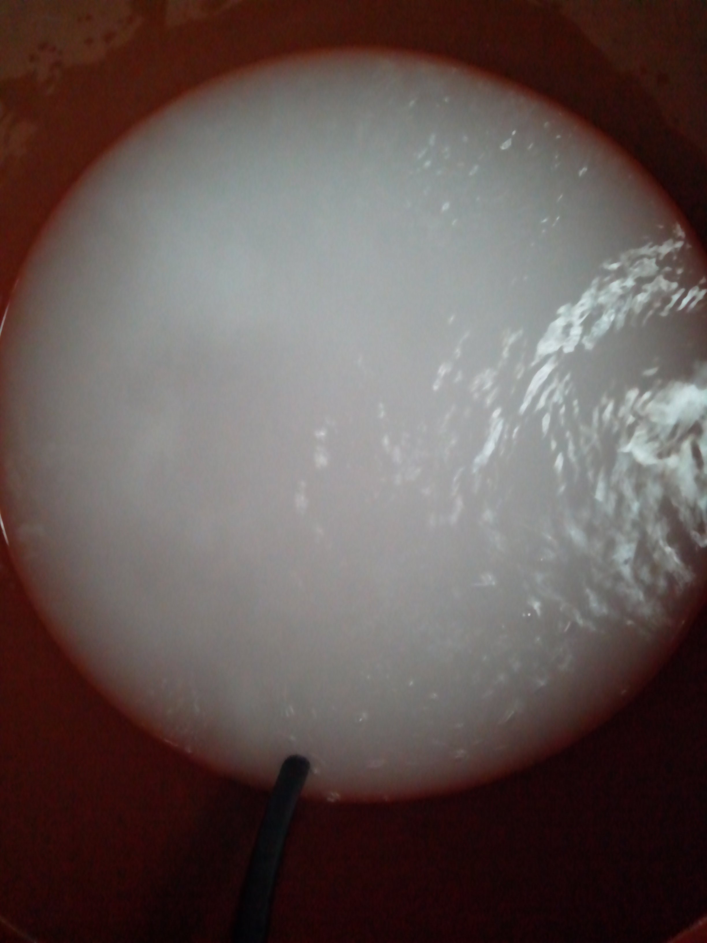 의신면 어르신위안잔치 현장 첨부#4