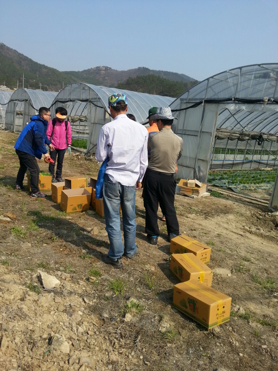 제2회 진도 농촌문화체험/임회면 선항리 첨부#4