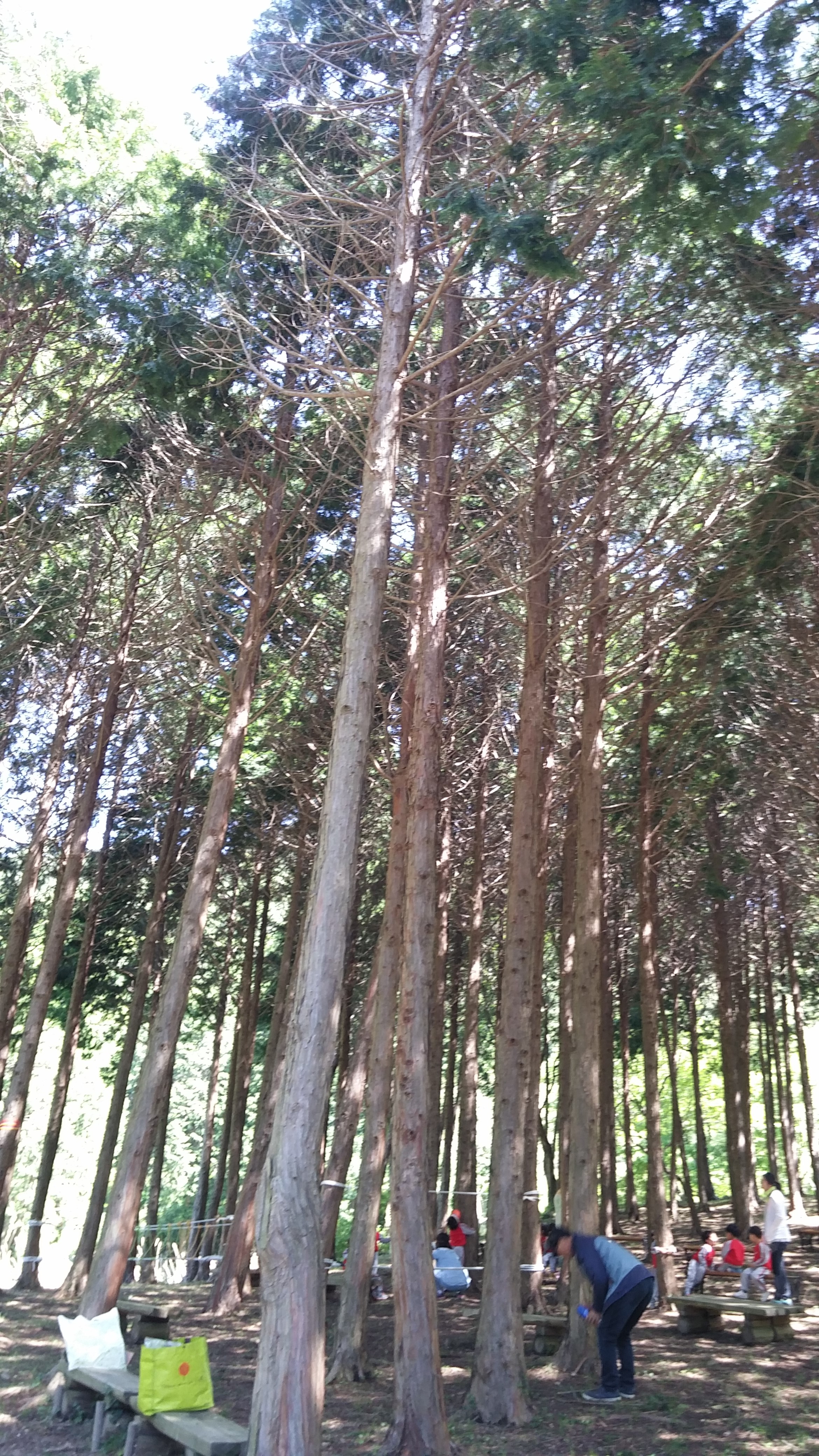 숲체험을 다녀와서~! 첨부#5