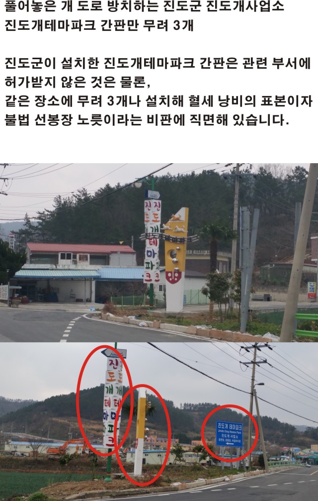 진도개 테마공원 + 신호등 첨부#2