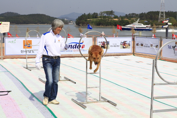 2012 명량대첩 축제 첫날 첨부#3