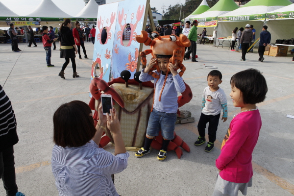 진도군 제2회 꽃제 축제 첨부#2