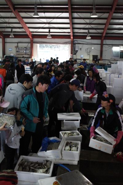 진도군 제2회 꽃제 축제 첨부#3