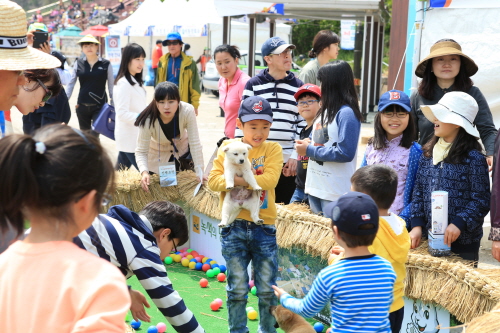 제35회 진도신비의바닷길 축제2 첨부#5