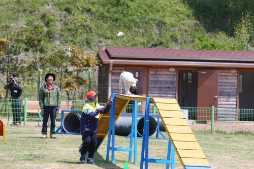 제2회 진도개의 날 첨부#15