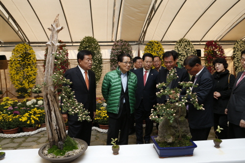 박지원, 김영록 국회의원 국화축제 방문 첨부#2