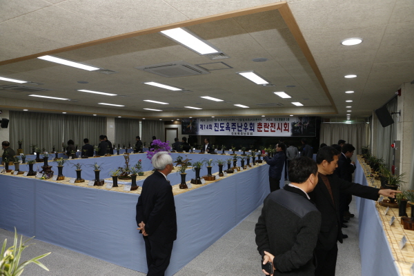 제14회 진도욱주난우회 춘란전시회 첨부#3