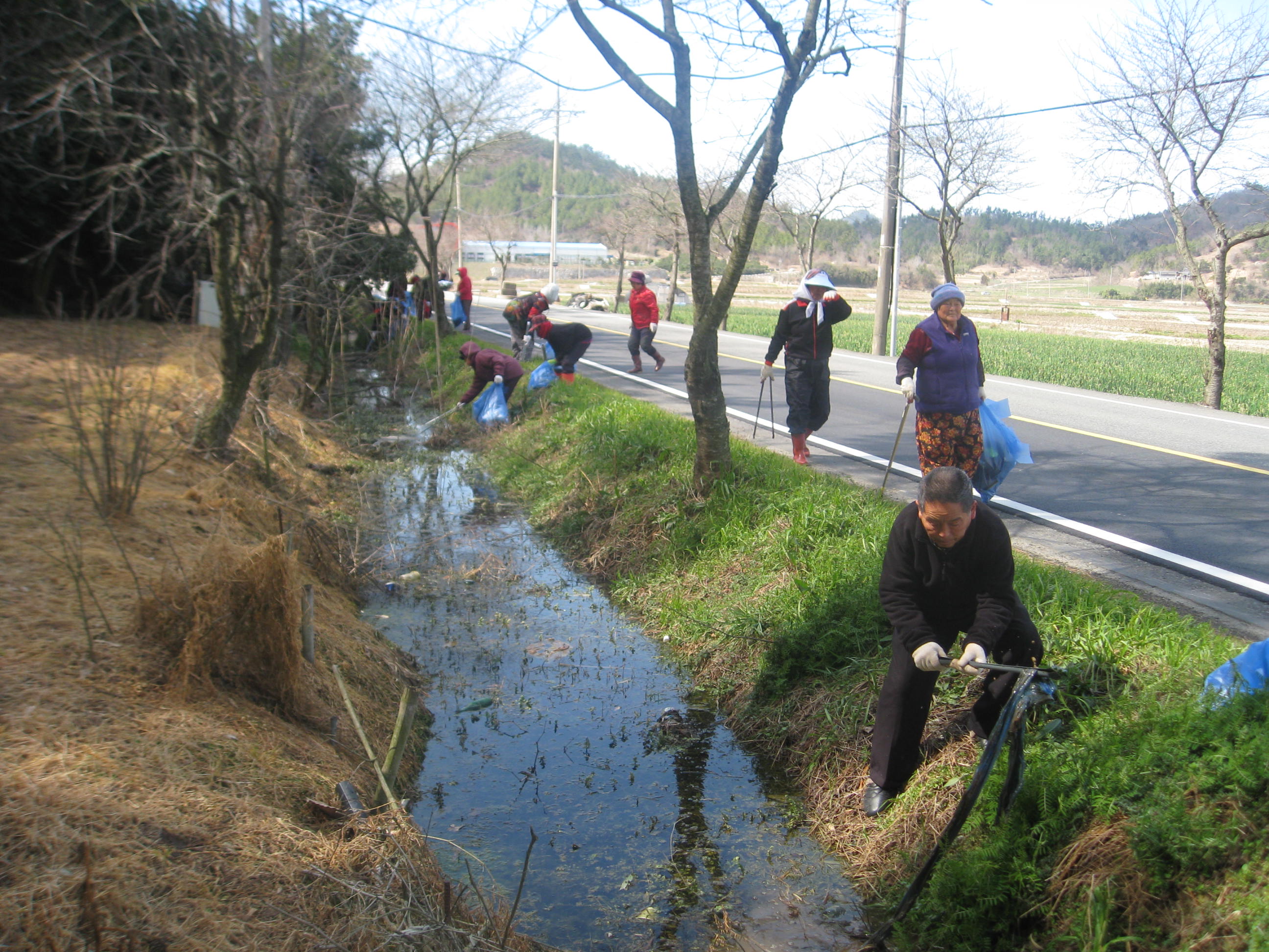 임회면 중매 노인회 첨부#2