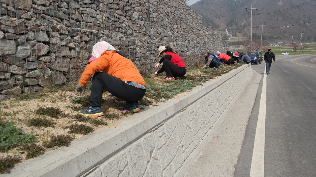 의신부녀회 첨부#3