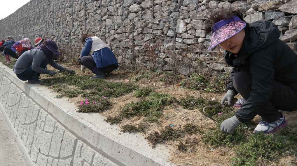 의신부녀회 첨부#4