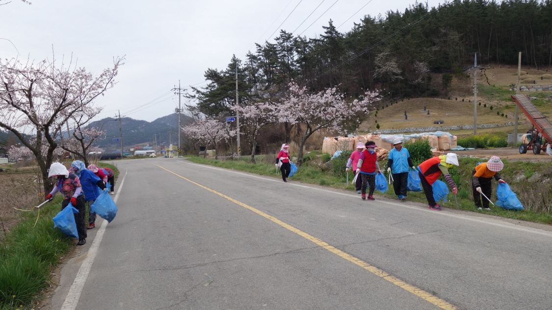 독치노인회 첨부#2