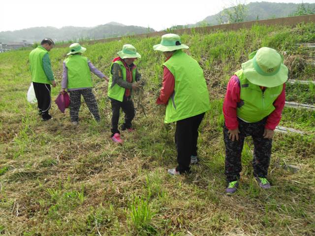 진도문화원 첨부#4