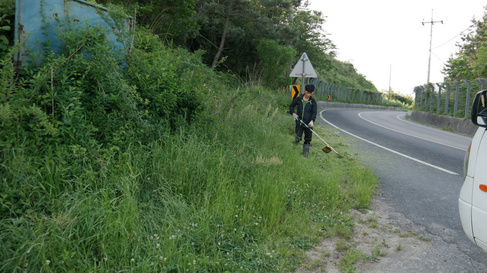 의신면청년회 첨부#4