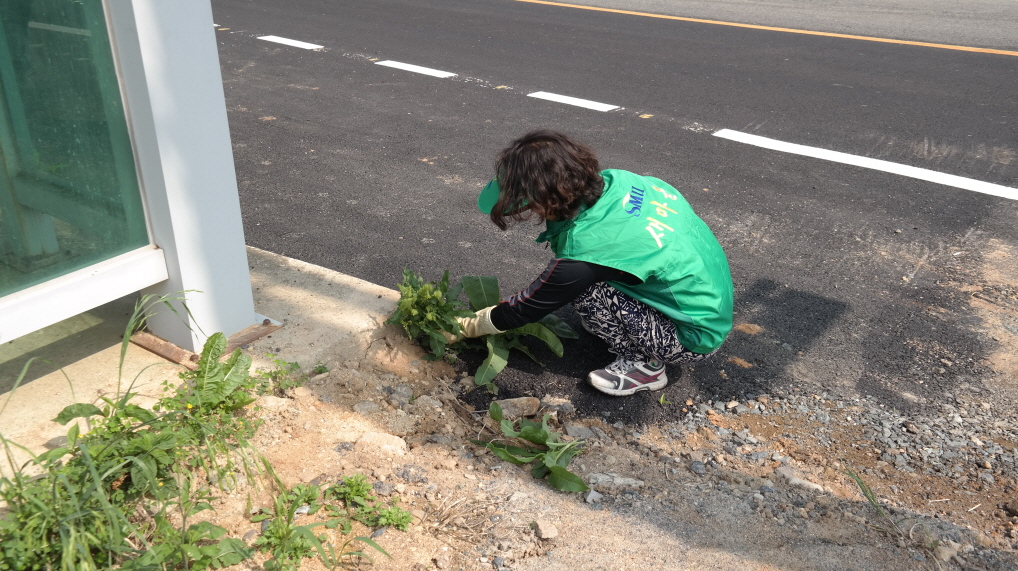 의신면새마을부녀회 첨부#4