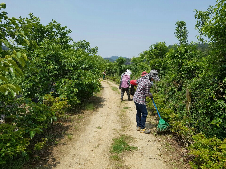 사천리청년회 첨부#2