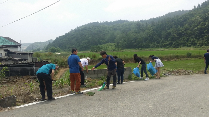 군내면 체육회 첨부#3