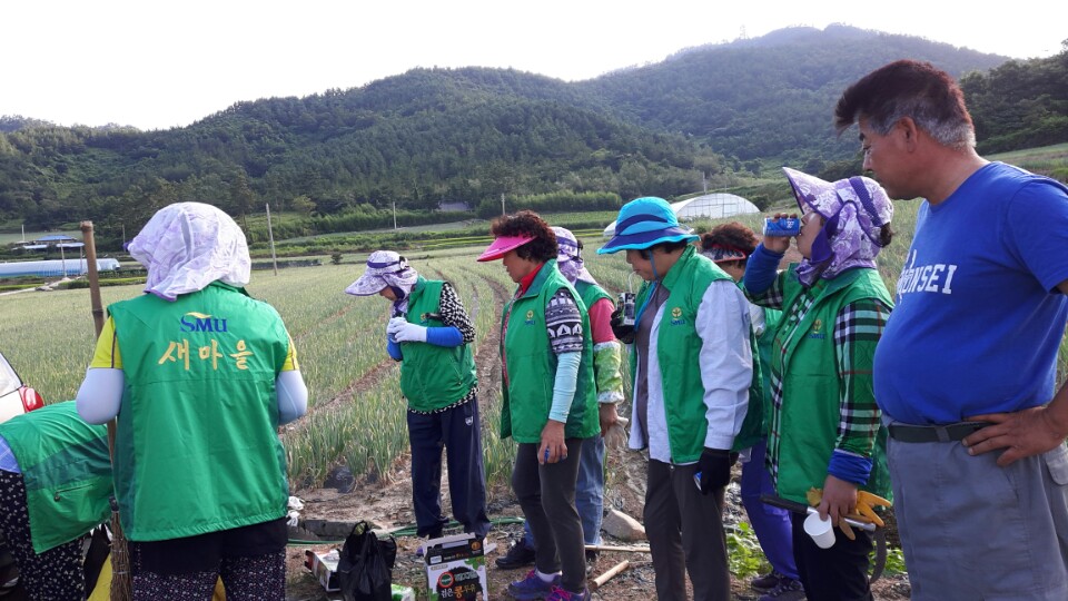 진도읍새마을부녀회 첨부#2