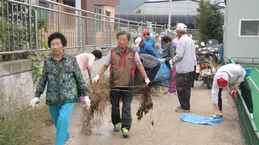 의신면 게이트볼 동호회 첨부#1