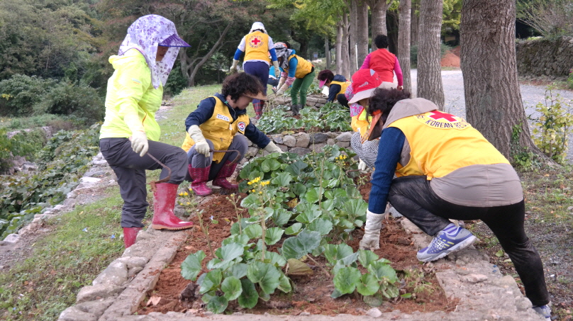 적십자 의신봉사회 첨부#1