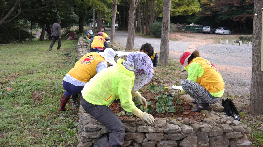 적십자 의신봉사회 첨부#2