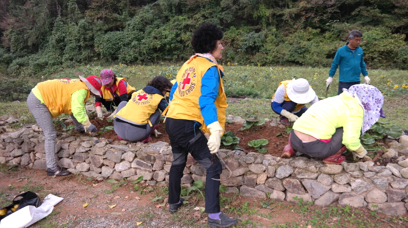 적십자 의신봉사회 첨부#3