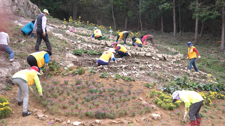 적십자 의신봉사회 첨부#2