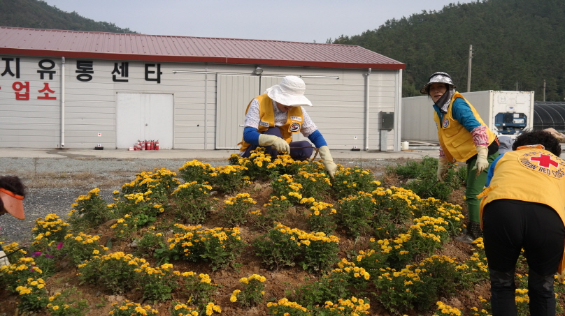 적십자 의신봉사회 첨부#1