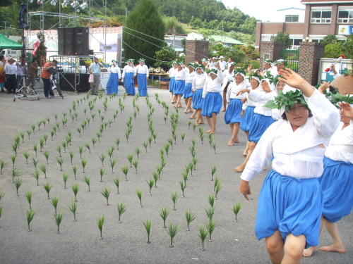 진도군, 16일 인지리 민속문화체험 축제 개최 이미지