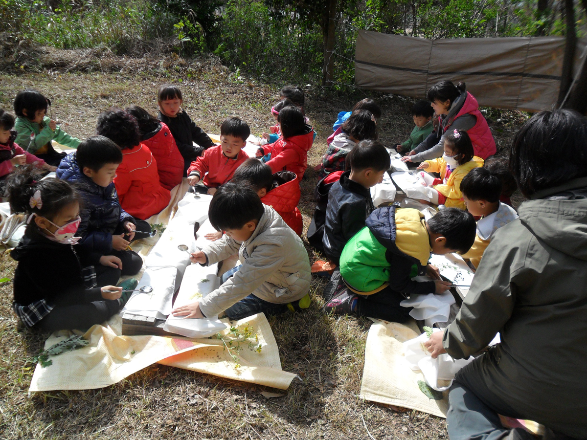 진도군, 숲 체험교육을 위한 ‘숲 유치원’ 운영 이미지