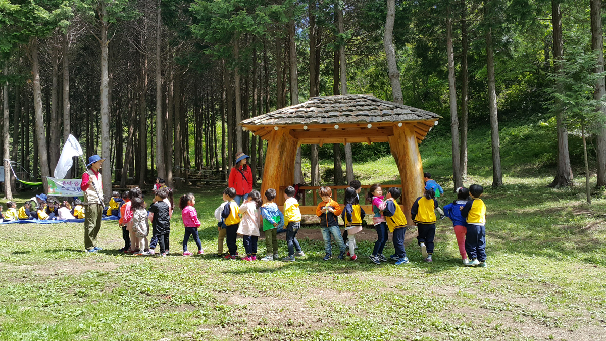 진도군, 유아숲 체험 프로그램 운영 ‘활발’ 이미지