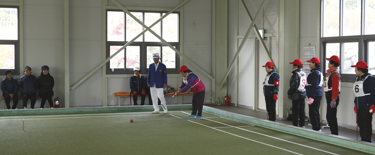 제10회 진도군 여성 게이트볼 대회 5일 개최 이미지