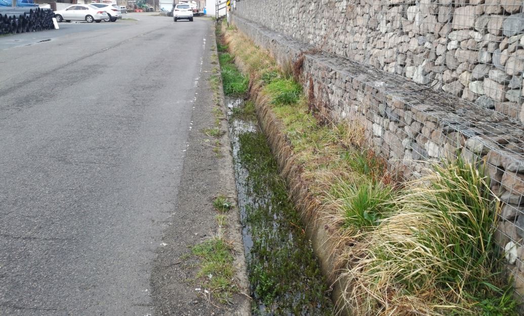 임회 적십자 봉사회 첨부#4