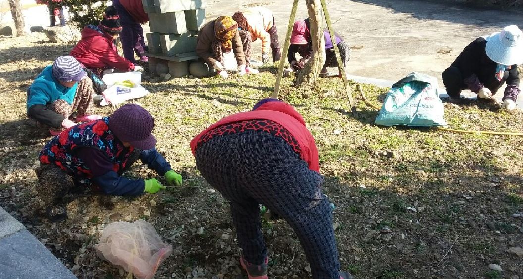 으뜸울금영농조합 첨부#2