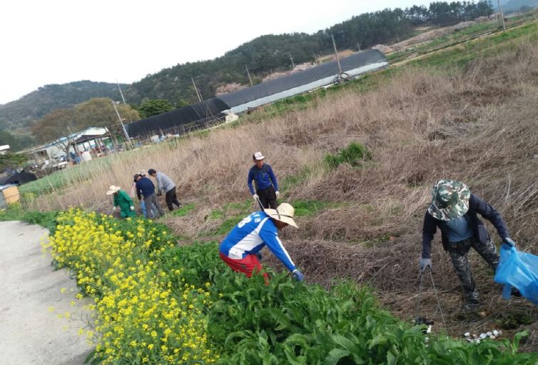 임회 선항청년회 첨부#3